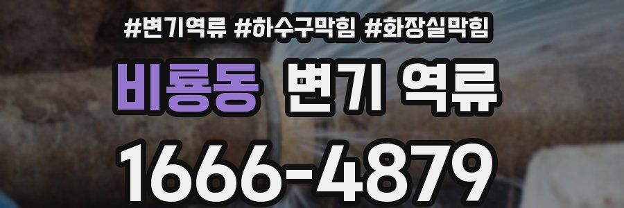 비룡동 변기 역류