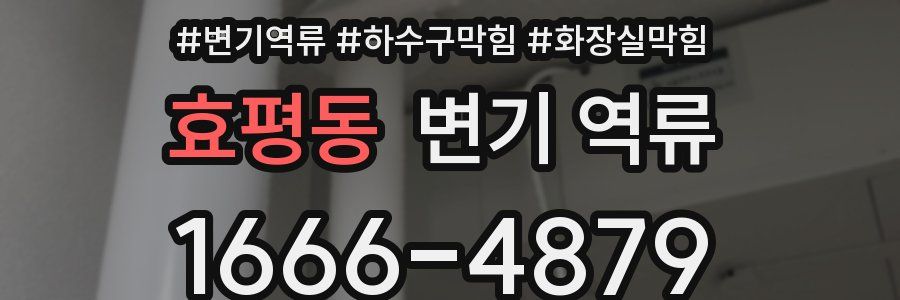 효평동 변기 역류