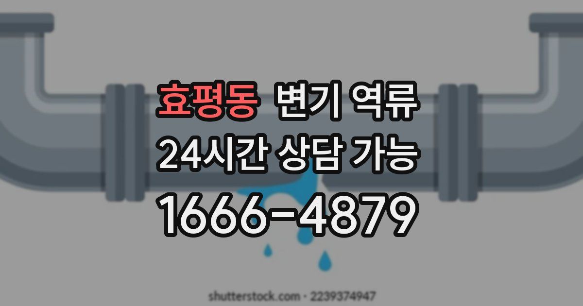 효평동 변기 역류