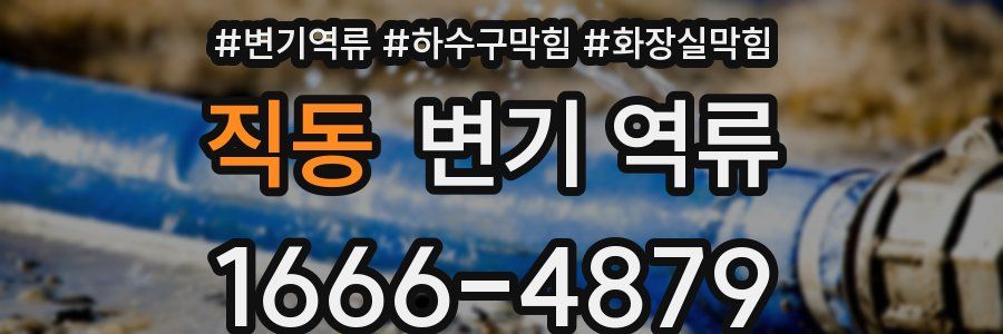 직동 변기 역류