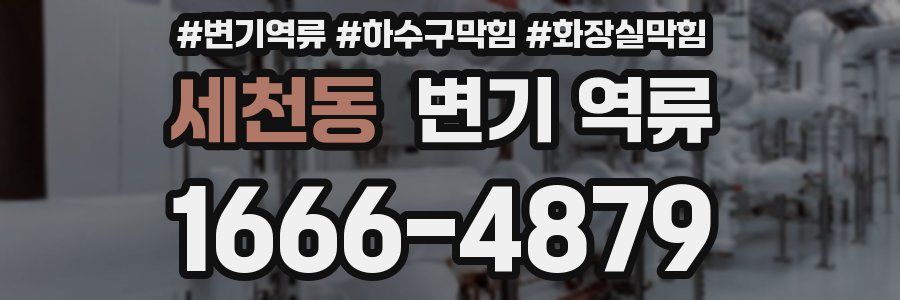 세천동 변기 역류