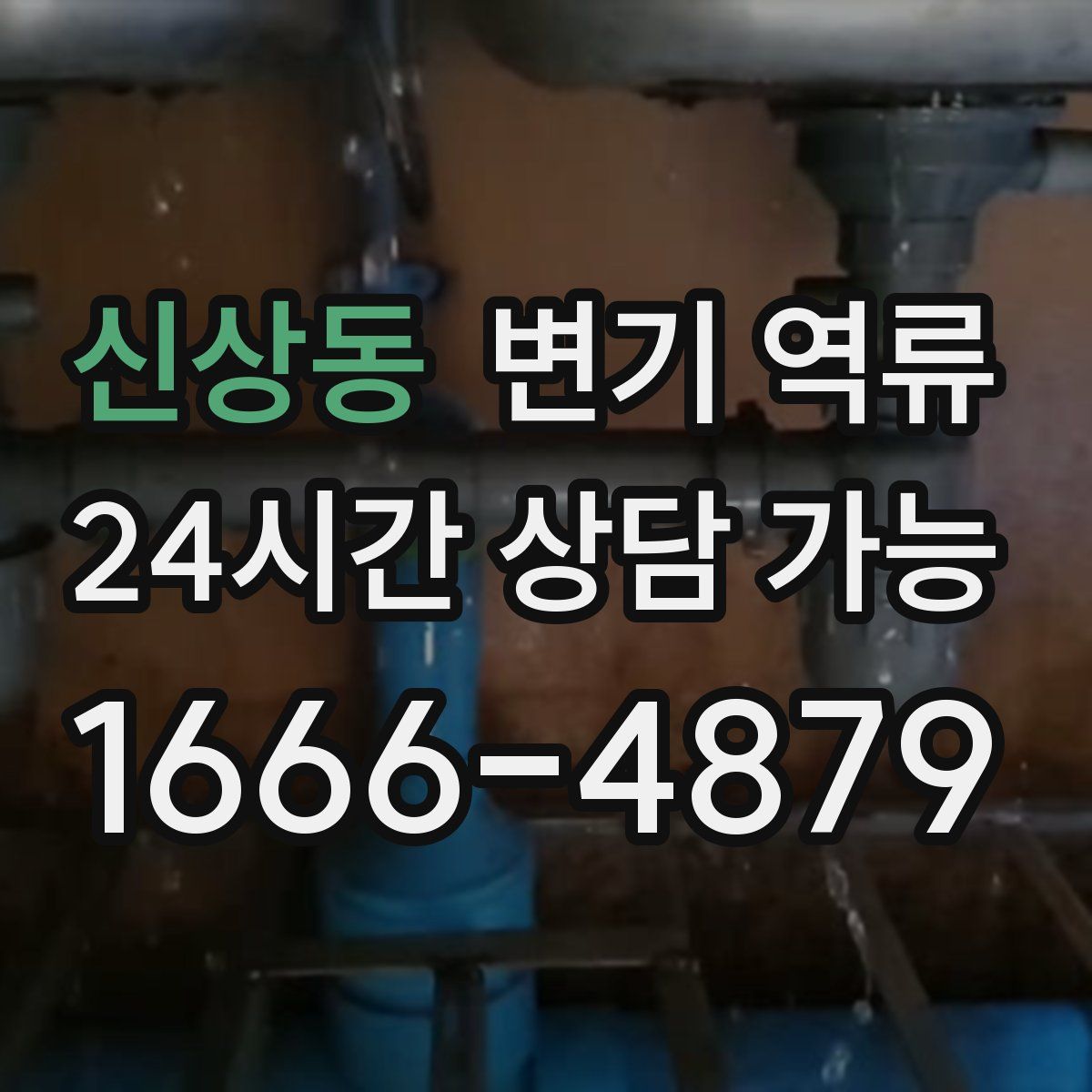 신상동 변기 역류