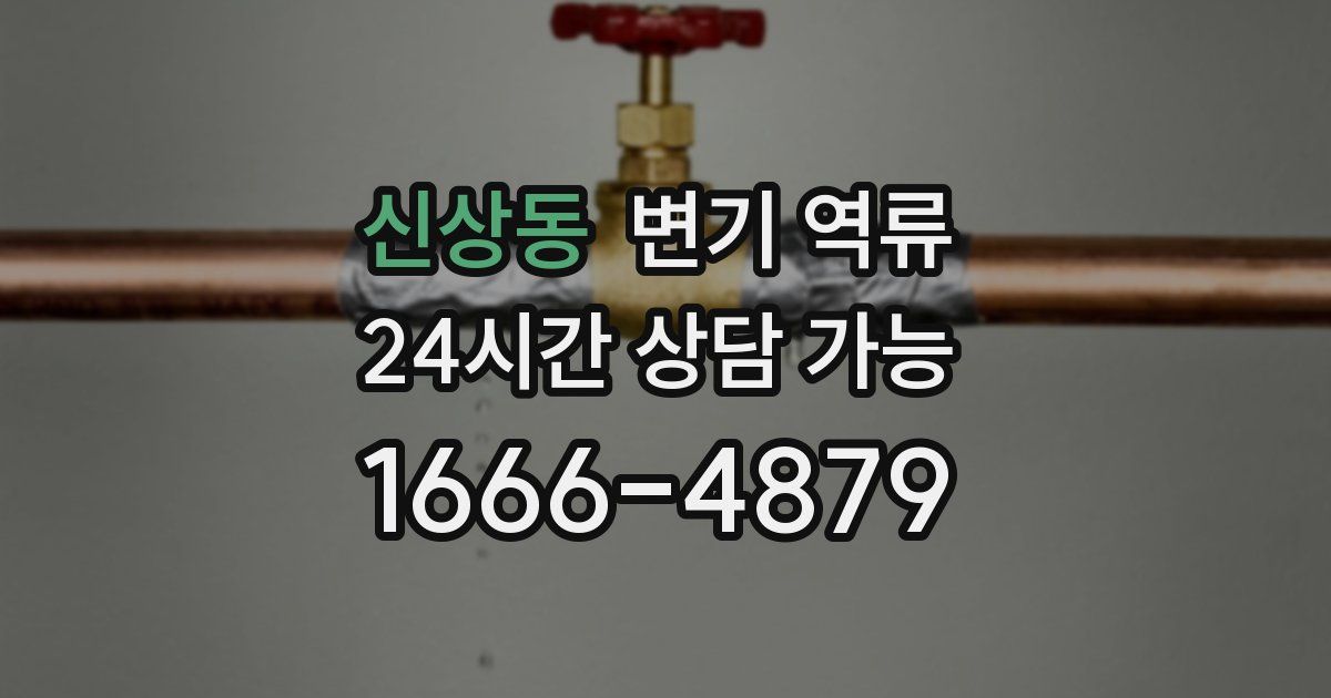 신상동 변기 역류