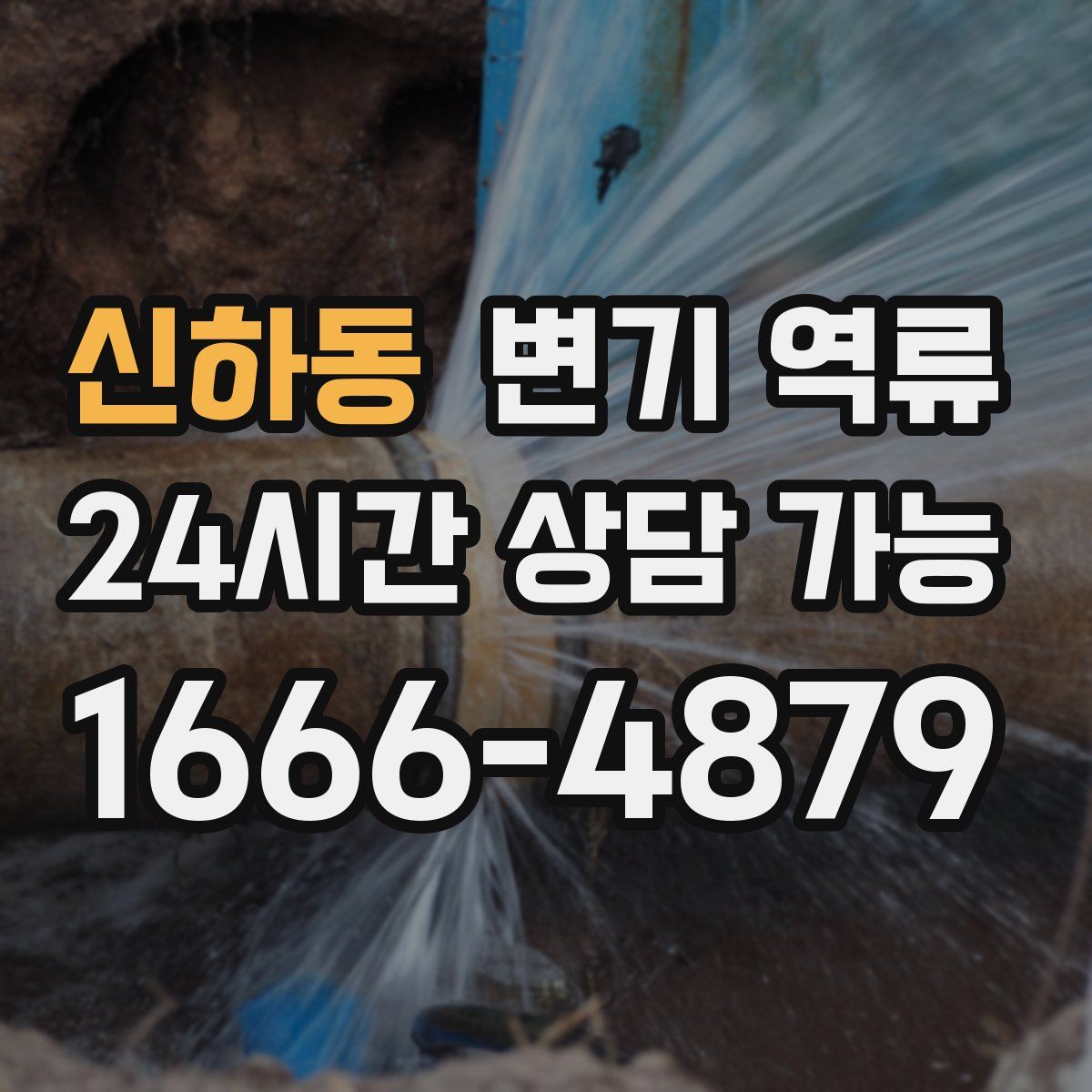 신하동 변기 역류