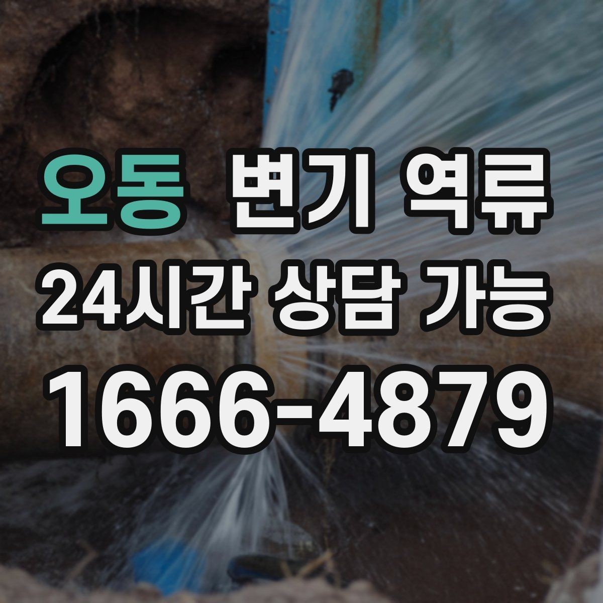 오동 변기 역류 같은 자리에서 계속 생기는 원인