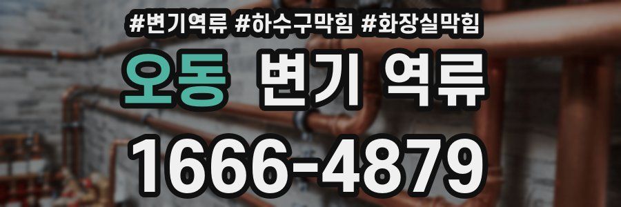 오동 변기 역류