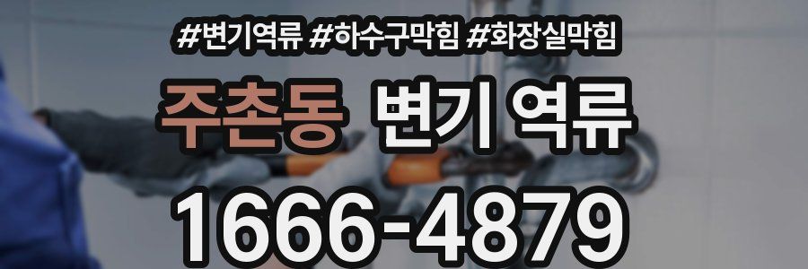 주촌동 변기 역류