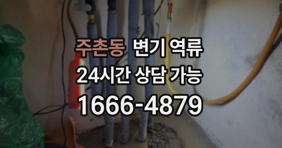 주촌동 변기 역류