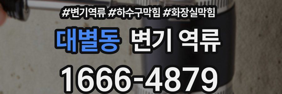대별동 변기 역류