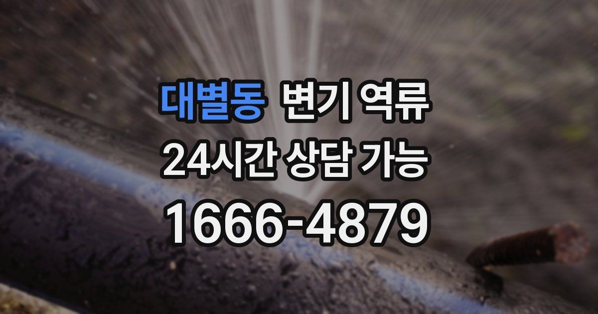 대별동 변기 역류