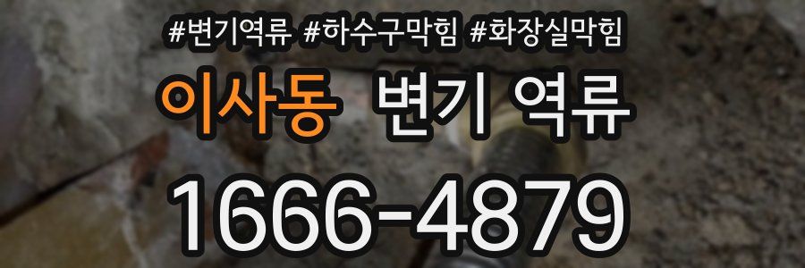 이사동 변기 역류