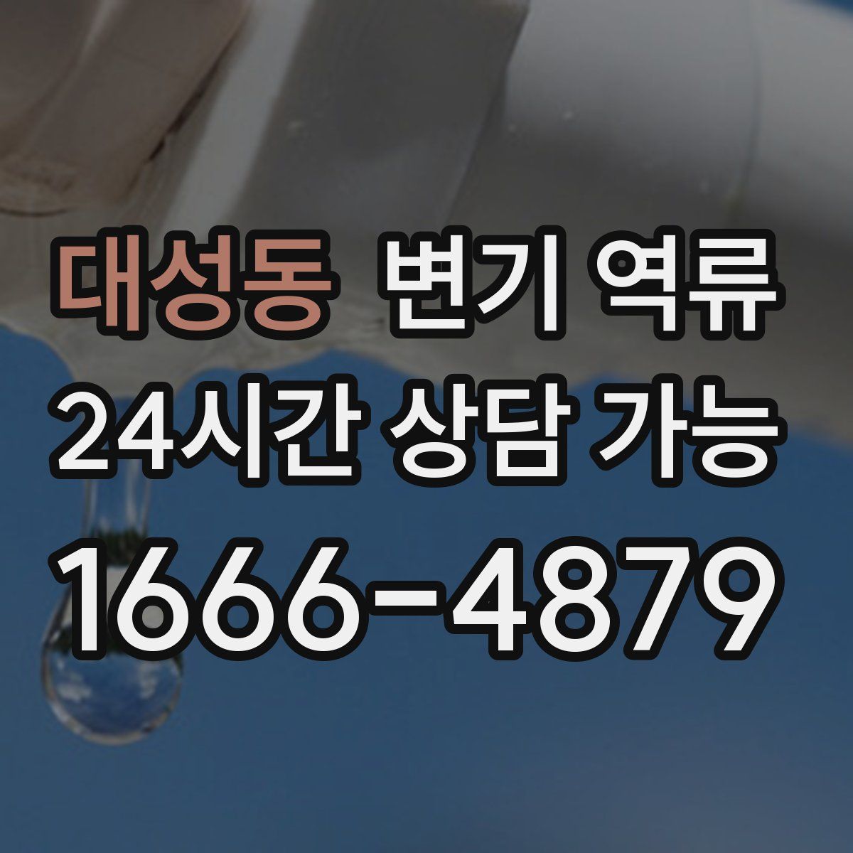 대성동 변기 역류