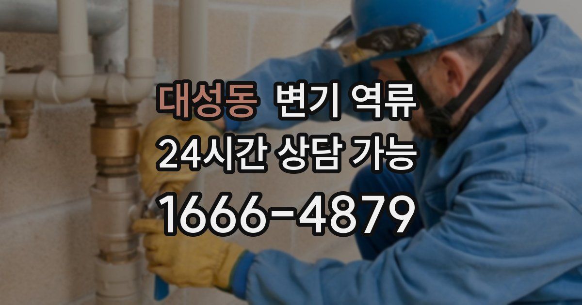 대성동 변기 역류