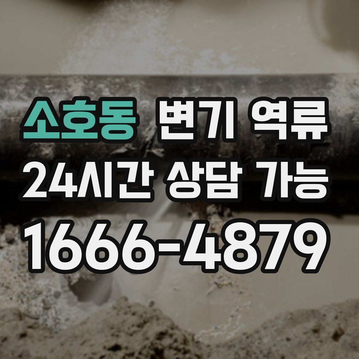 소호동 변기 역류 리모델링 후 배관 문제로 생길 수 있을까
