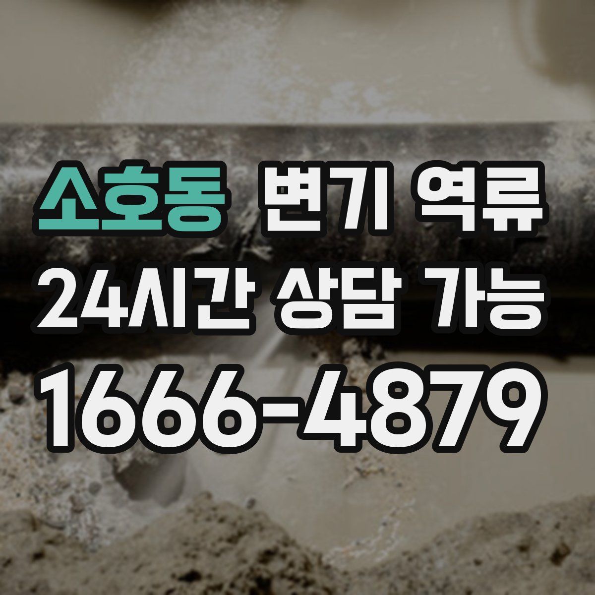 소호동 변기 역류