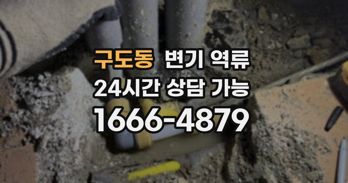 구도동 변기 역류