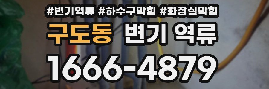 구도동 변기 역류