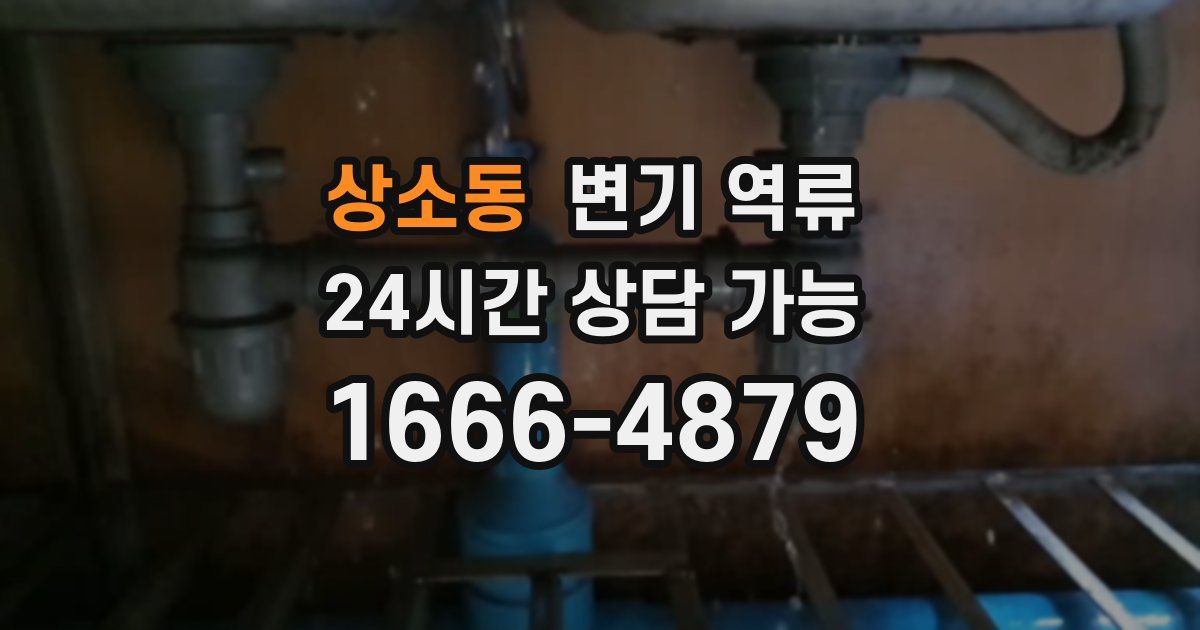 상소동 변기 역류