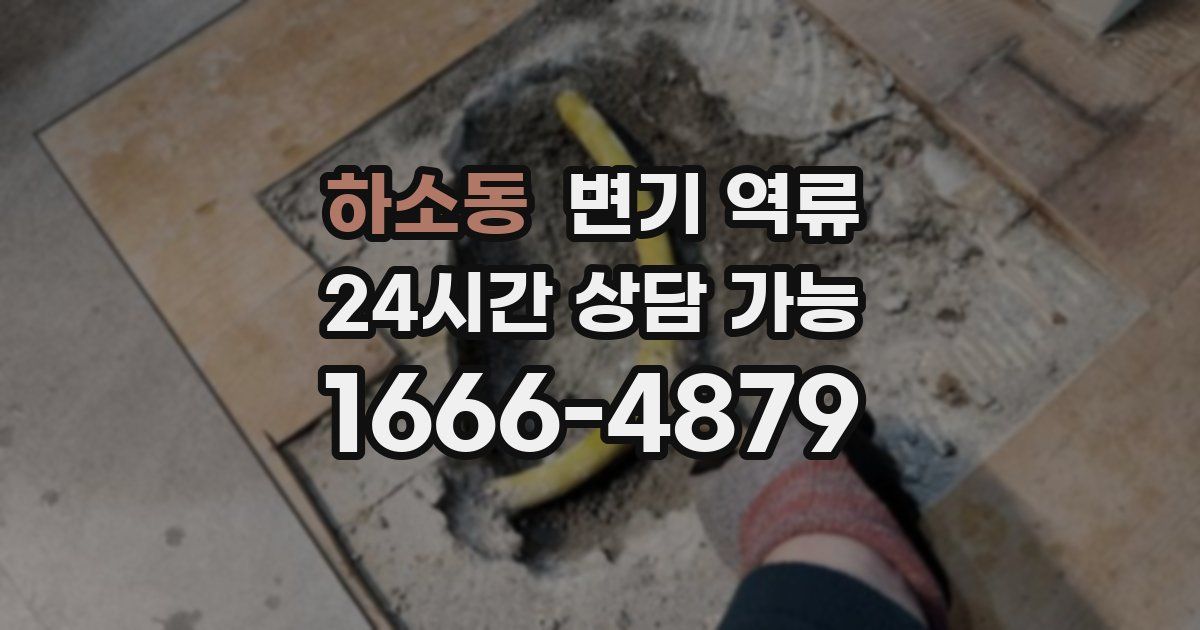 하소동 변기 역류