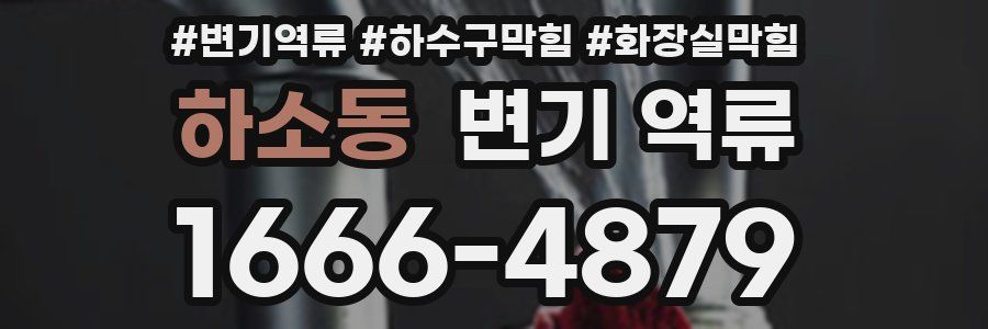 하소동 변기 역류