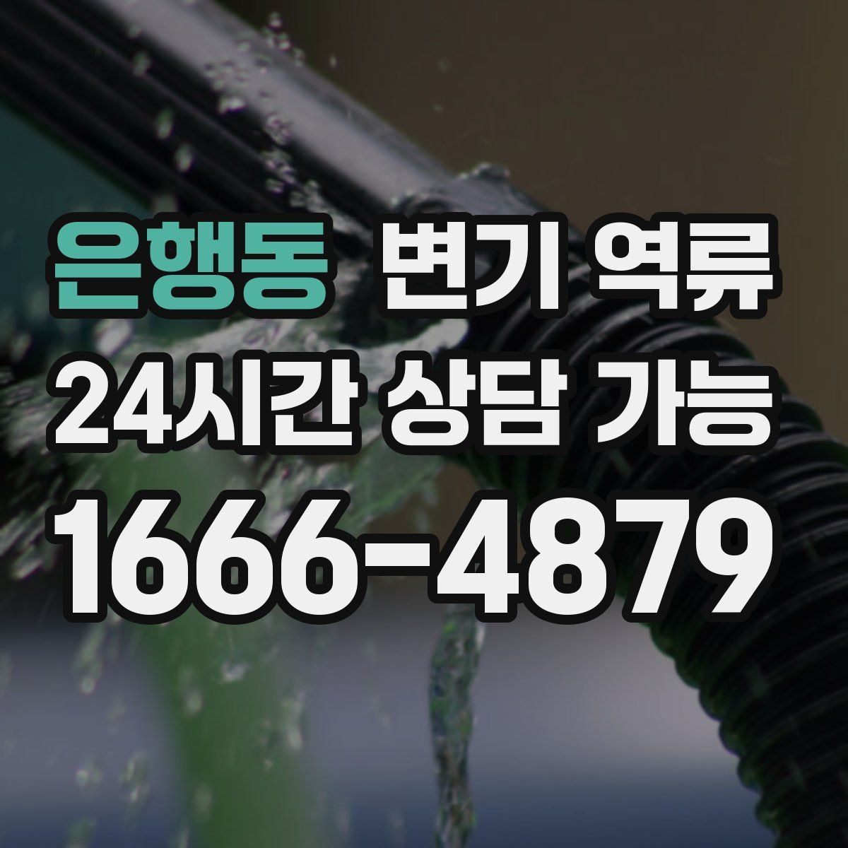 은행동 변기 역류