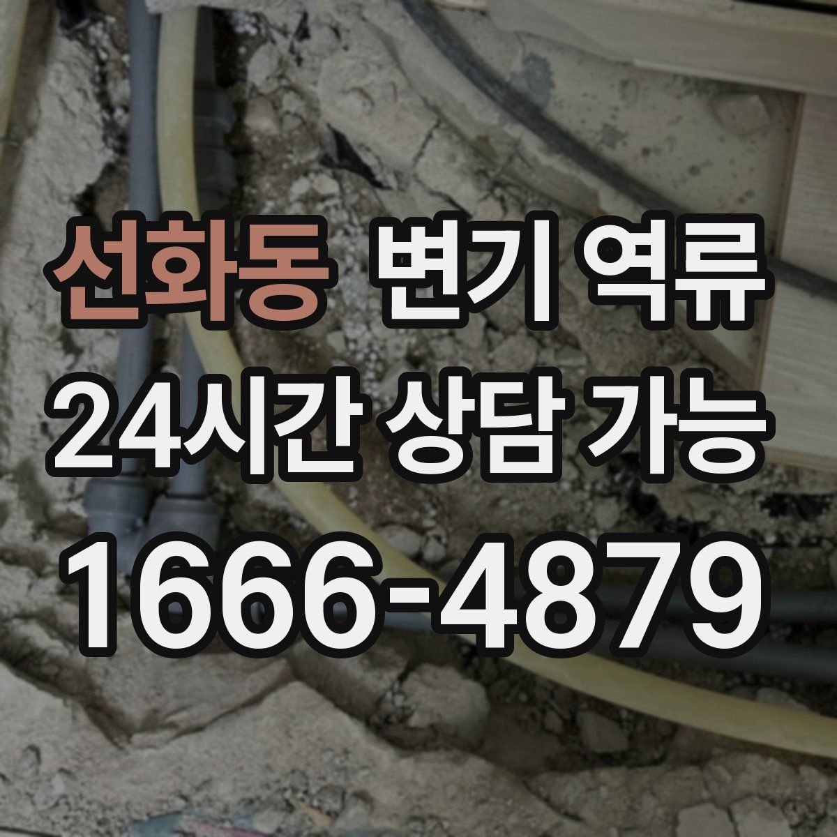 선화동 변기 역류