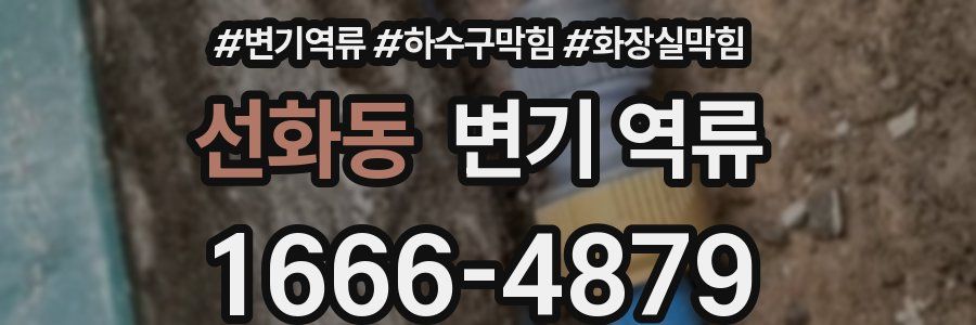 선화동 변기 역류