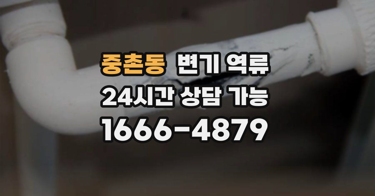 중촌동 변기 역류