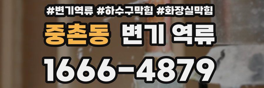 중촌동 변기 역류