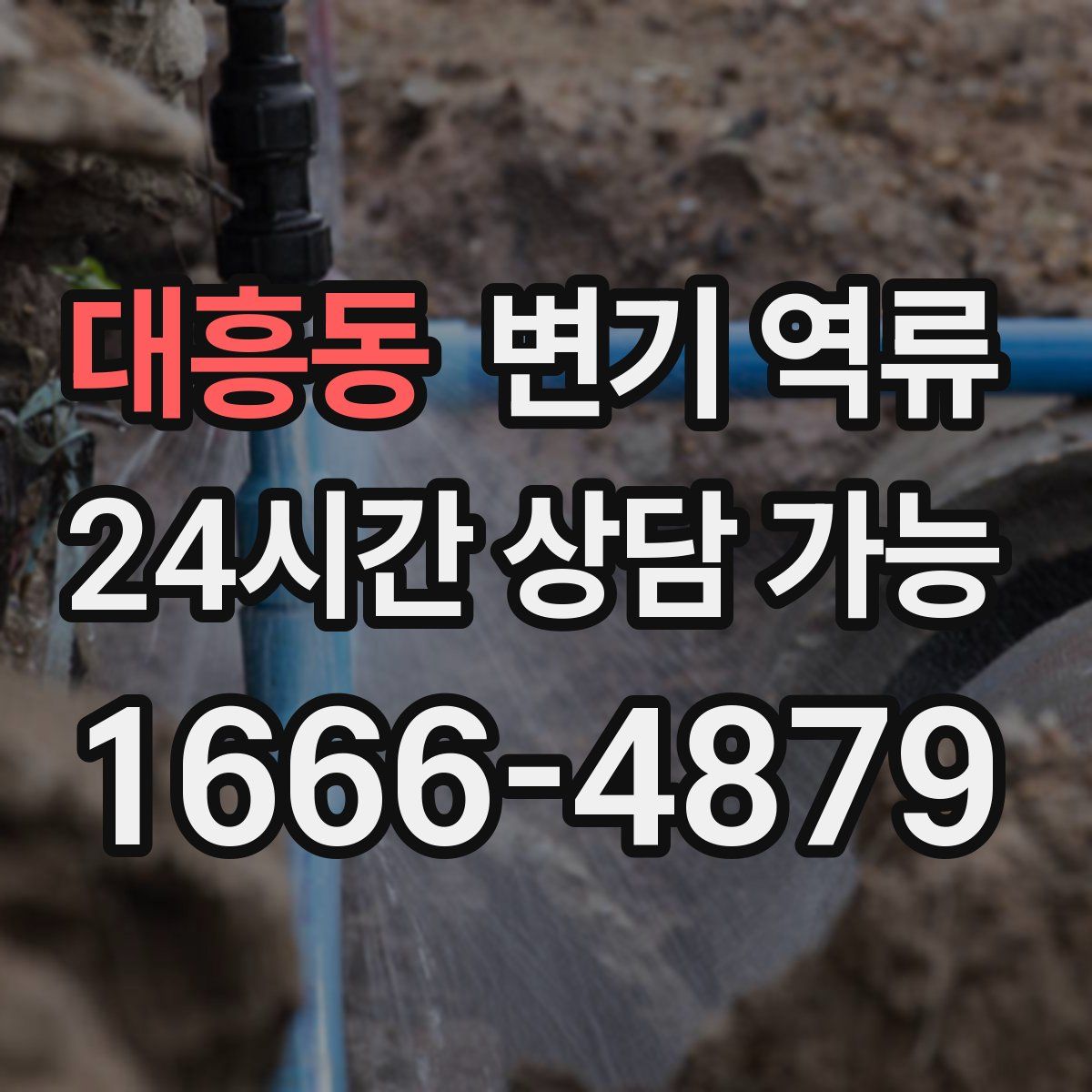 대흥동 변기 역류