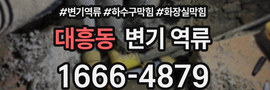 대흥동 변기 역류