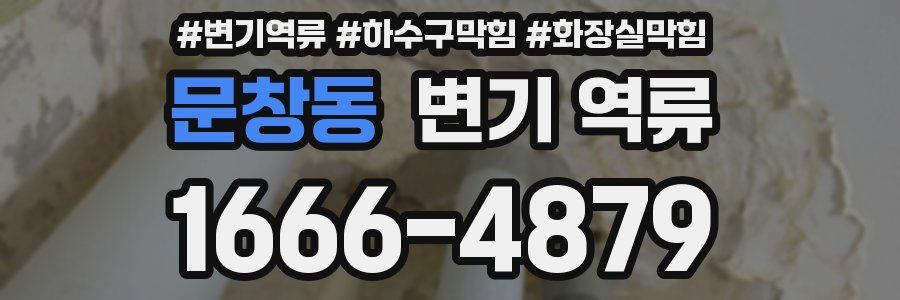 문창동 변기 역류