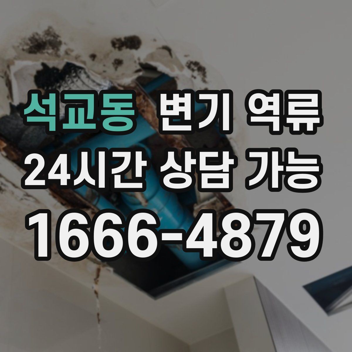 석교동 변기 역류 오염수 역류로 위생 문제가 커지는 이유