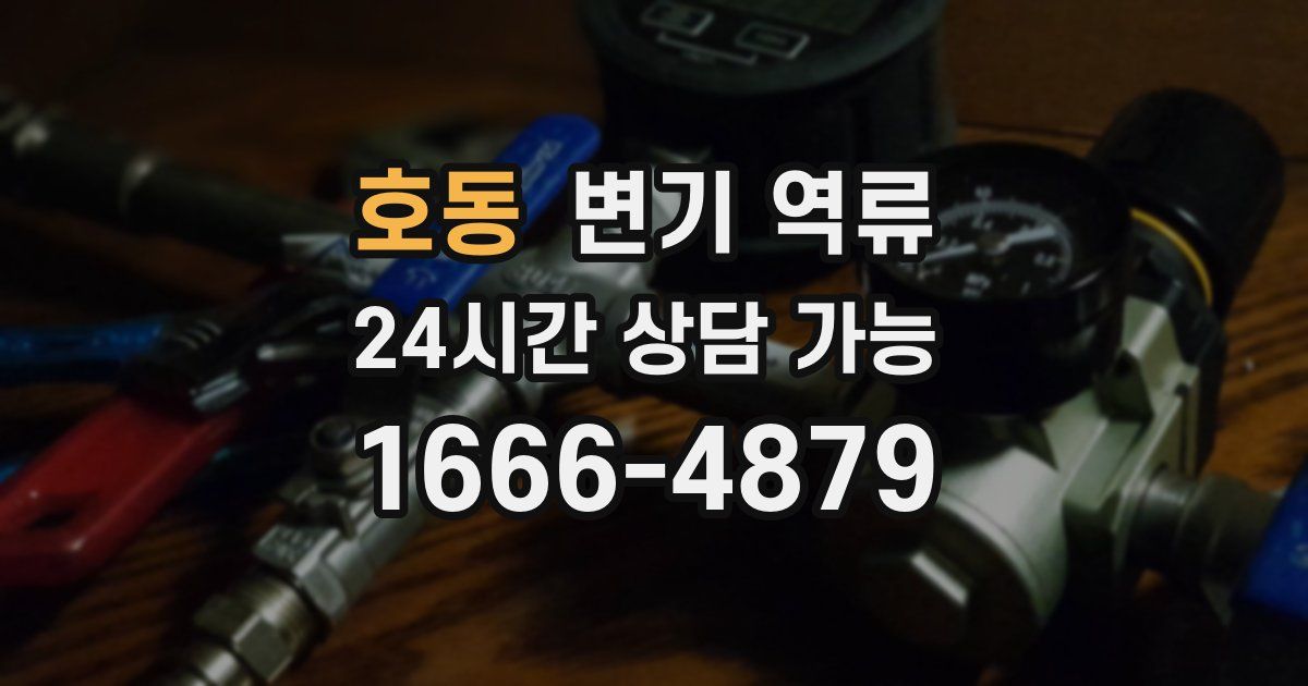 호동 변기 역류