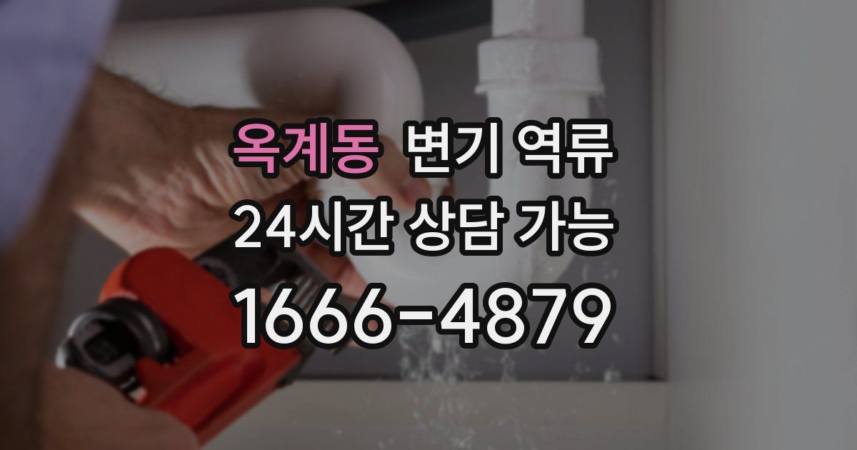 옥계동 변기 역류