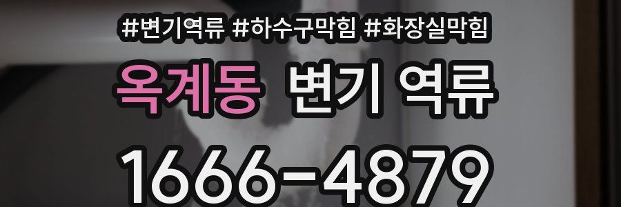 옥계동 변기 역류