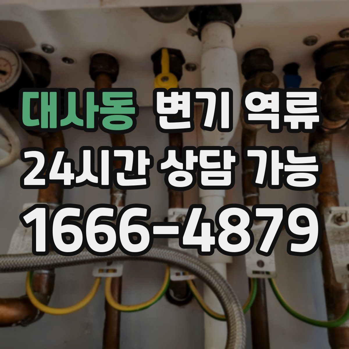 대사동 변기 역류