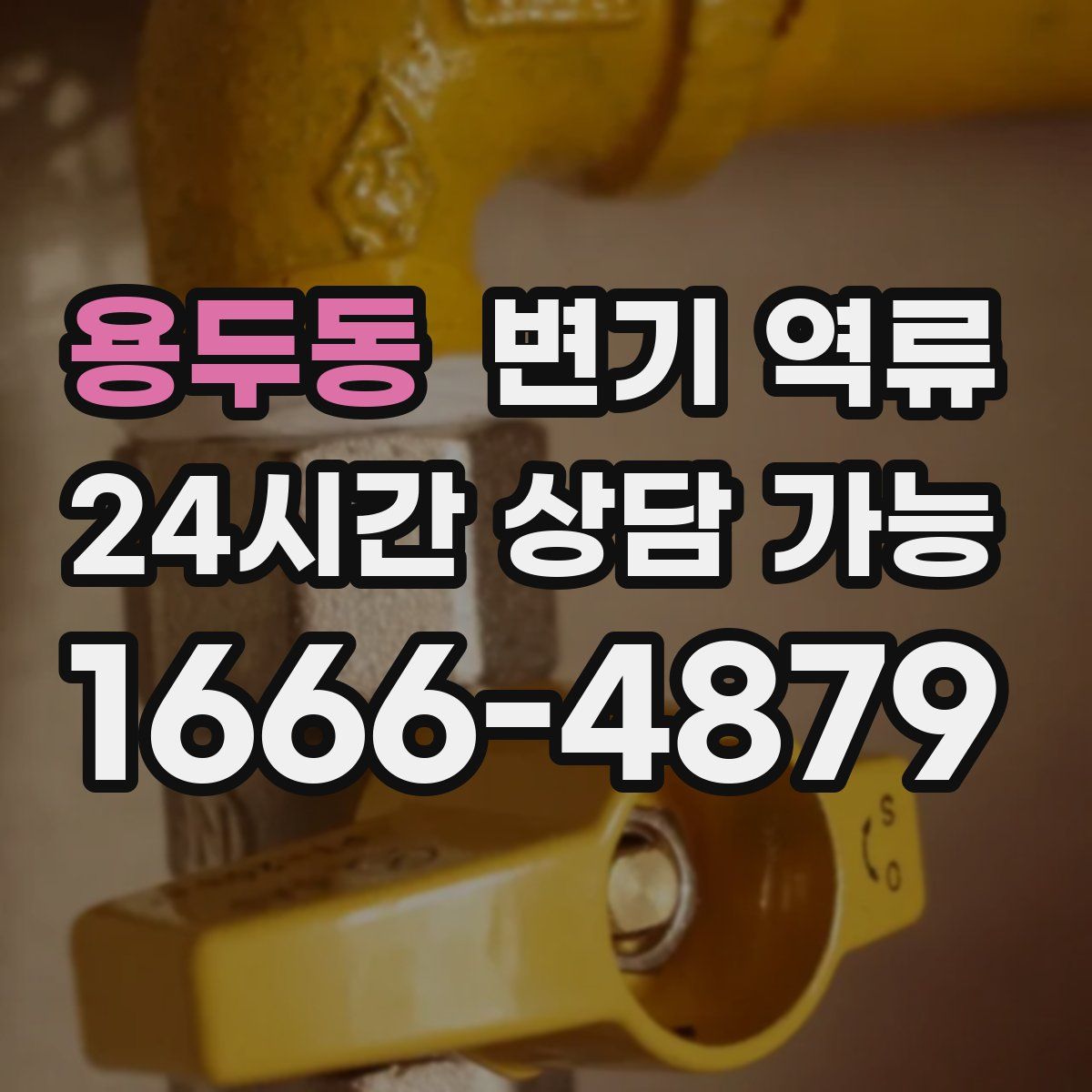 용두동 변기 역류