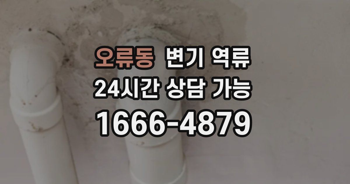 오류동 변기 역류