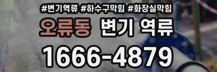 오류동 변기 역류