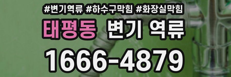 태평동 변기 역류