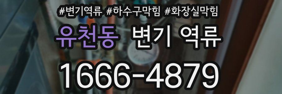 유천동 변기 역류