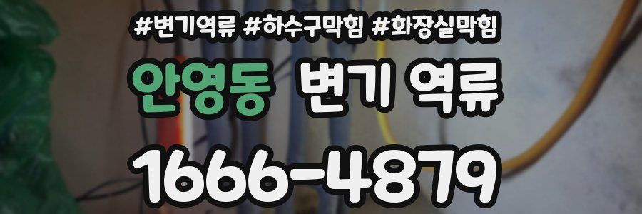 안영동 변기 역류