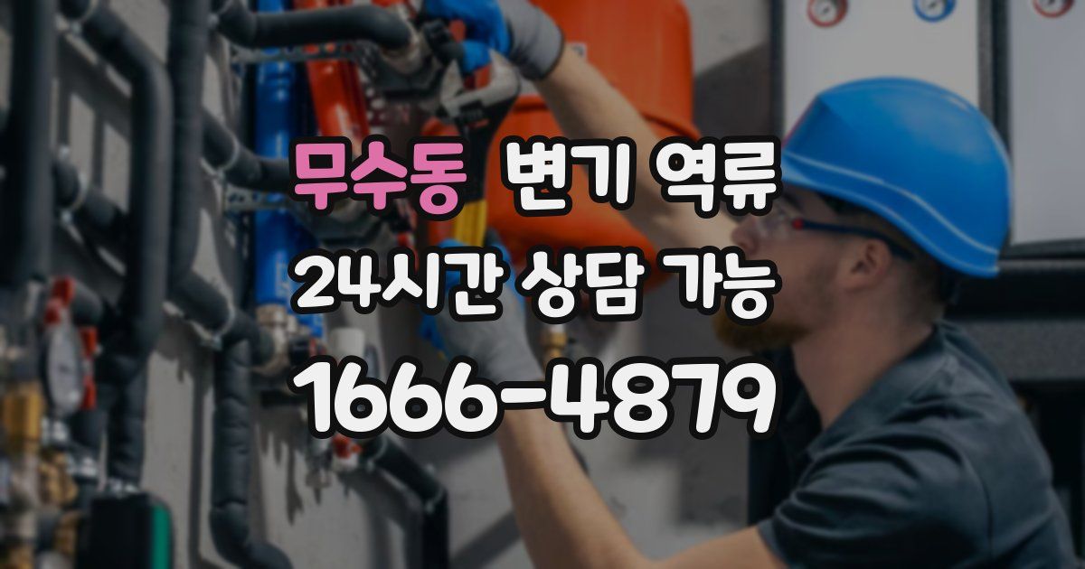 무수동 변기 역류