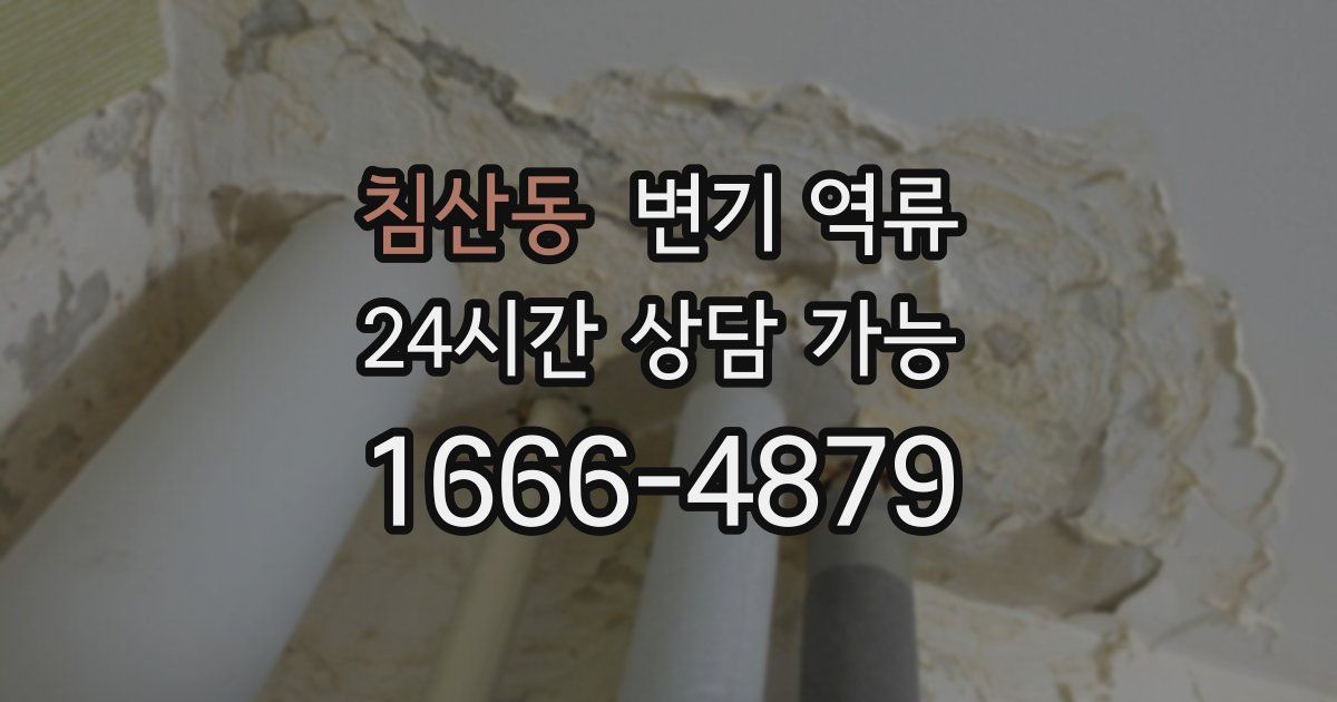 침산동 변기 역류