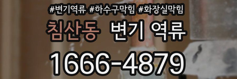 침산동 변기 역류