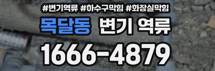 목달동 변기 역류