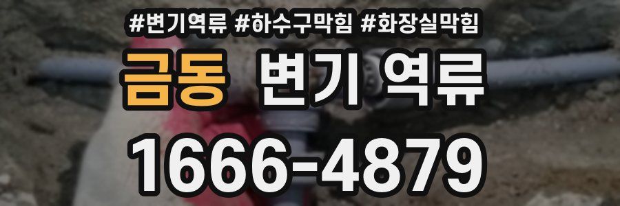 금동 변기 역류