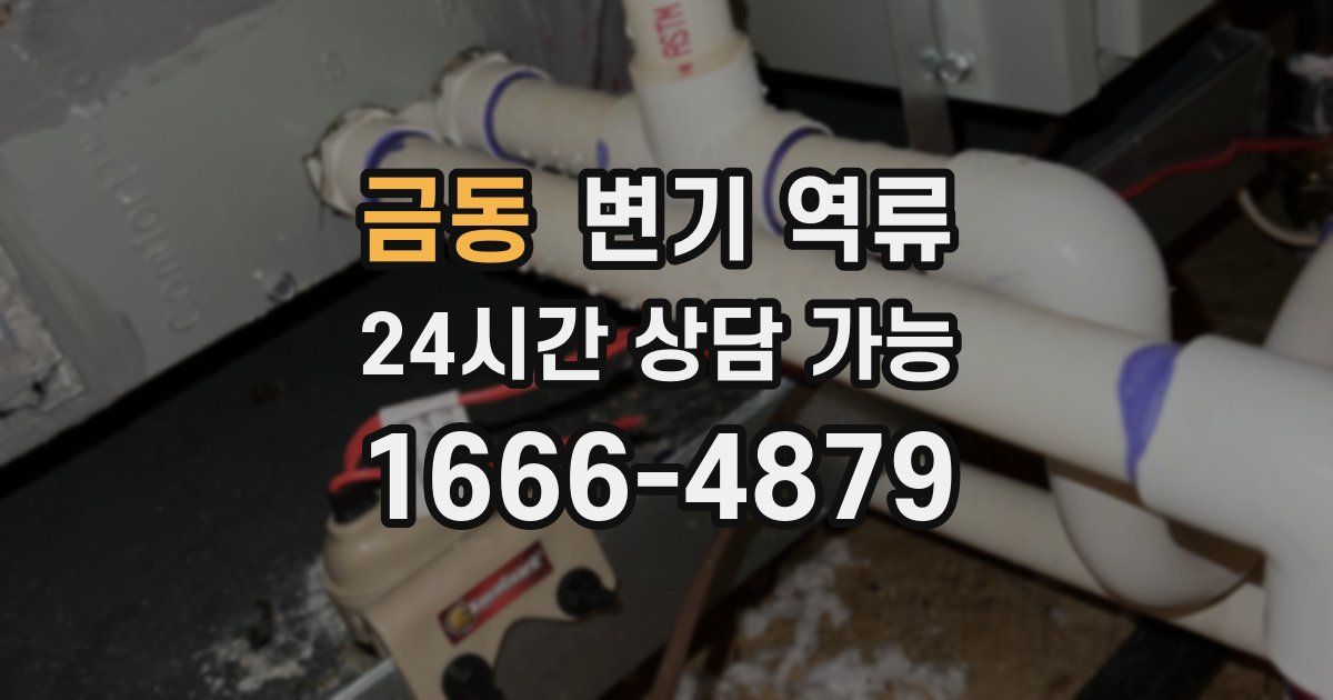 금동 변기 역류