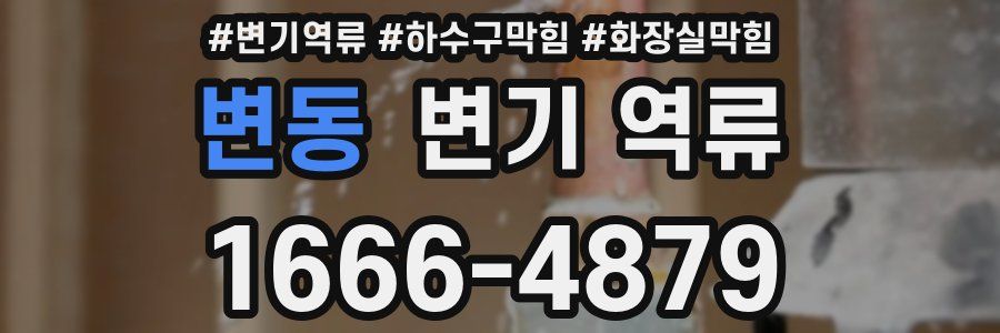 변동 변기 역류